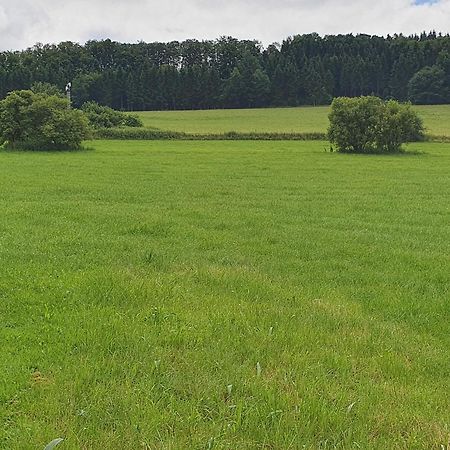 Ferienwohnungen Am Finkenweg Bestwig Ngoại thất bức ảnh